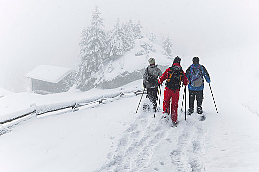 瑞士,地区,三个人,风景,后视图,远足,雪鞋,乡村,雪,白天