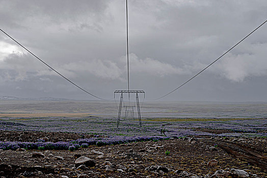 排,电线塔,地点,阴天,高地,冰岛