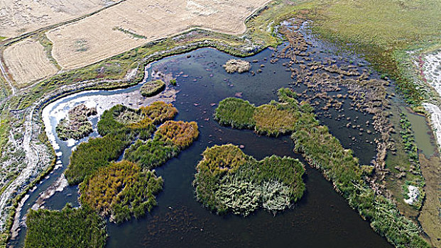 高家湖湿地生态公园