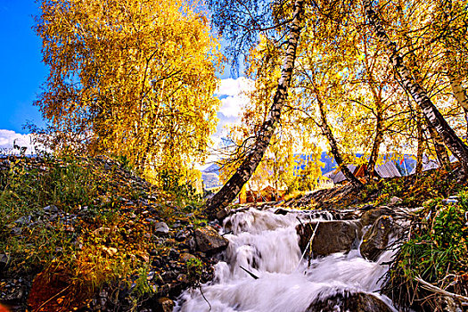 黄叶,秋天,瀑布