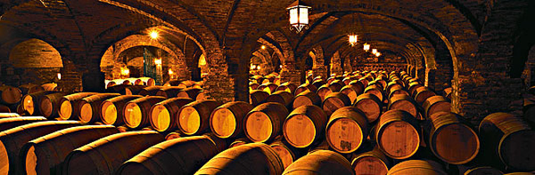 酒窖,葡萄酒厂,智利