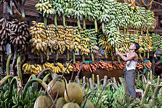 亚洲,缅甸,仰光,市场,食物,水果,香蕉