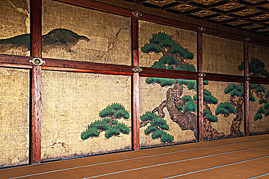二条城,宫殿,特写,涂绘,京都,日本