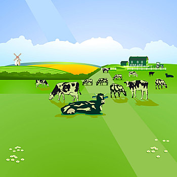牛,草场,插画