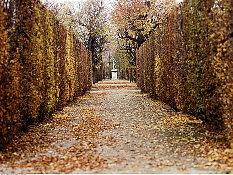 美泉宫花园,维也纳,奥地利