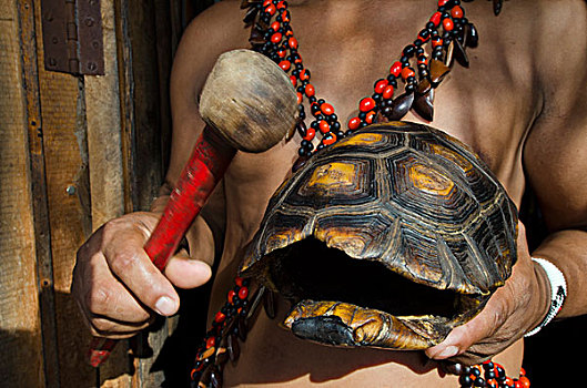 龟,甲壳,打击乐器,亚马逊河,厄瓜多尔