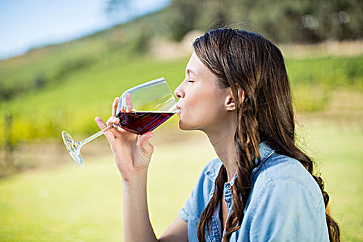 侧面视角,女人,喝,红酒,葡萄园