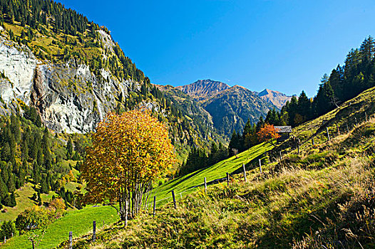 风景,山谷,萨尔茨堡,奥地利,欧洲