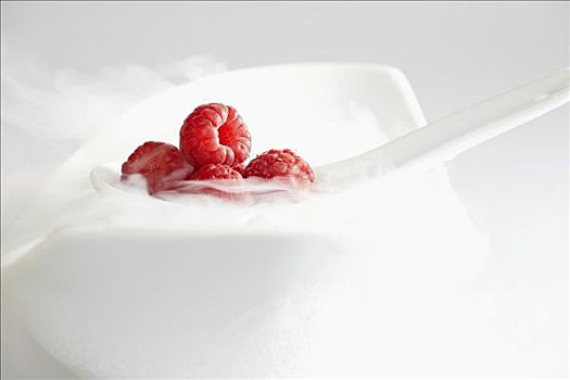 树莓,白色,勺子,干冰