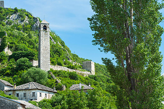 钟楼,中世纪,城堡,波斯尼亚,黑塞哥维那,欧洲