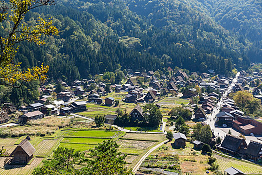 乡村,日本