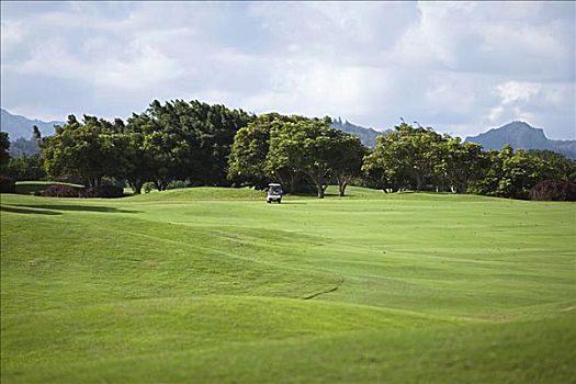 高尔夫球车,高尔夫球场,考艾岛,夏威夷,美国