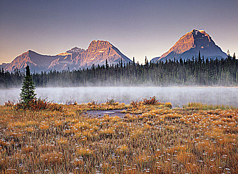漩涡,顶峰,山,水塘,碧玉国家公园,艾伯塔省,加拿大