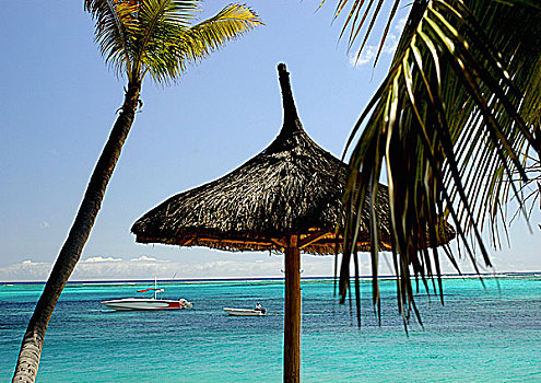 印度洋,伞,船,椰树