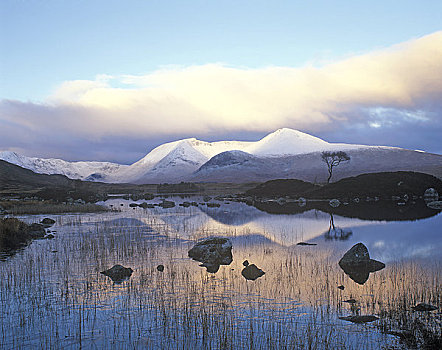 苏格兰,高地,兰诺克沼泽,反射,水,湖