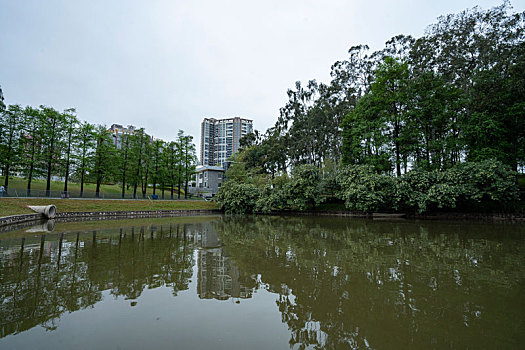 广州2023年春季天河公园的湖水与绿树相得益彰