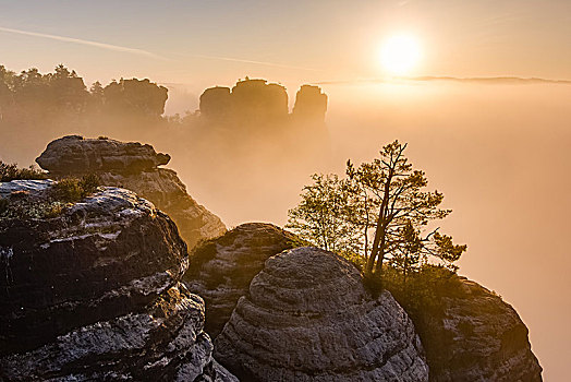 风景