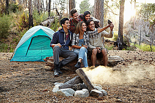 四个,年轻人,朋友,智能手机,营火,树林,洛杉矶,加利福尼亚,美国
