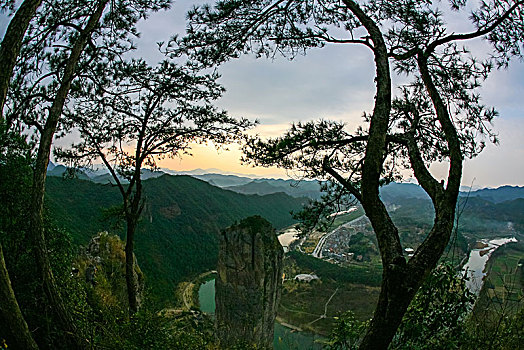 鼎湖峰,俯瞰,树,练溪