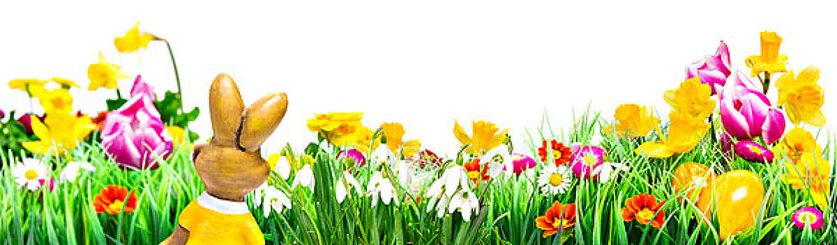 复活节兔子,复活节,草地,春天