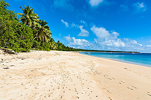 汤加,南太平洋