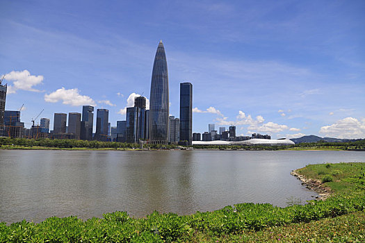 中国广东深圳南山深圳人才公园美景