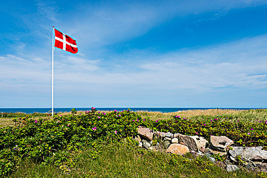 丹麦,旗帜,北方,日德兰半岛