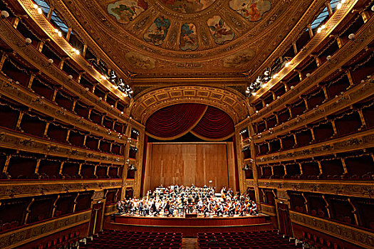 管弦乐,排演,巴勒莫,西西里,意大利,欧洲