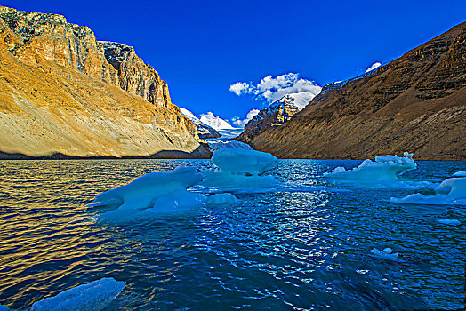 西藏曲登尼玛冰川