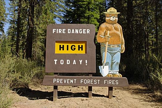 烟,熊,信息指示,危险,火灾,国家森林,俄勒冈,美国