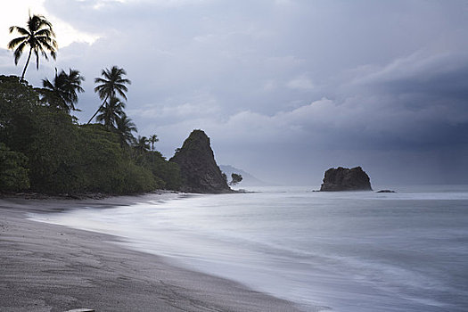 海滩,蓬塔雷纳斯,省,尼科亚,半岛,哥斯达黎加