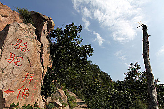 板厂峪,长城,奇石,山峦,自然