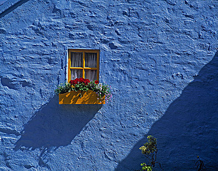 屋舍,窗户,金塞尔,爱尔兰