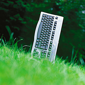 电脑键盘,站立,草丛