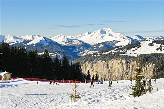 滑雪,雪,区域