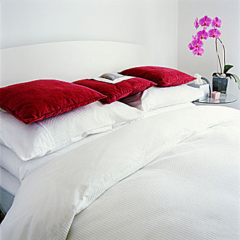 红色,天鹅绒,散落,垫子,白色,枕头,双人床,粉色,兰花,边桌