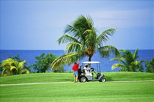 高尔夫球车,风景,高尔夫球场,胜地,牙买加