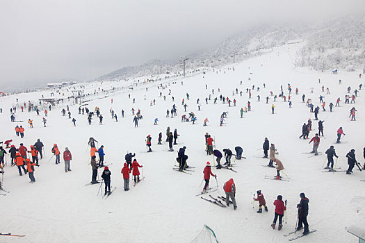 西岭雪山大雪的美丽风景