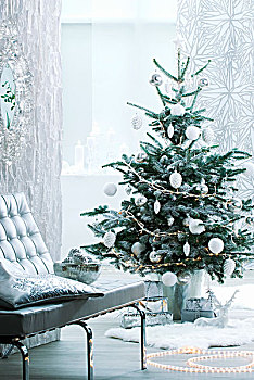 圣诞树,装饰,银,白色