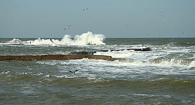 海滨风景