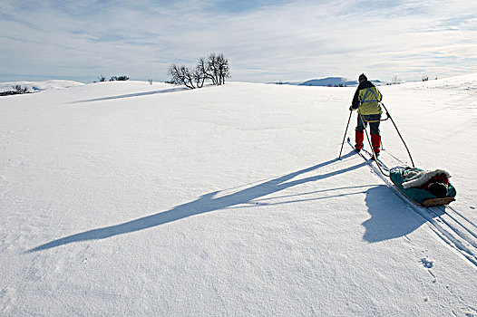女人,拉拽,雪橇,积雪,风景