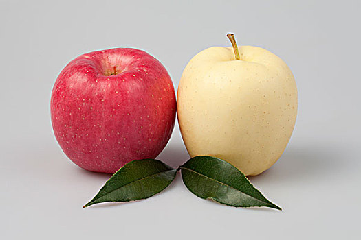 红富士苹果和黄焦苹果