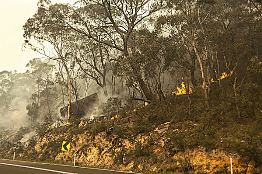 灌丛火灾,新南威尔士,澳大利亚