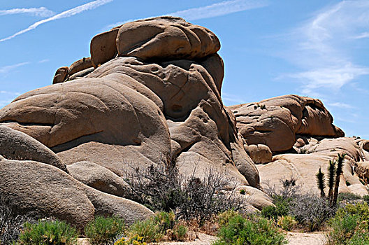 岩石构造,约书亚树国家公园,棕榈树,荒芜,南加州,美国,北美