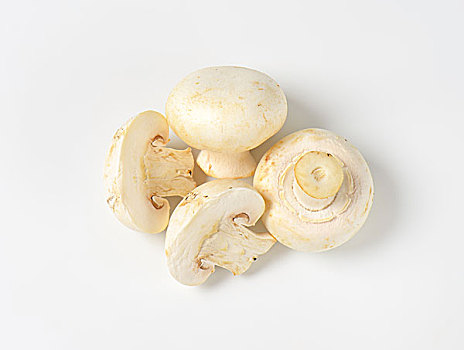 新鲜,白色,帽,蘑菇