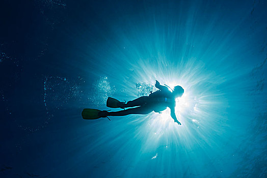 太阳,发光,后面,女人,深潜,水下,马尔代夫,印度洋