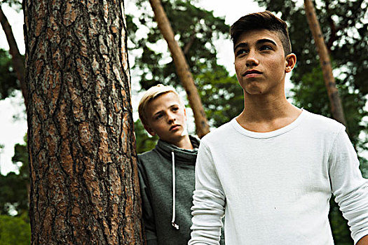 头像,两个男孩,站立,靠近,树,公园,德国