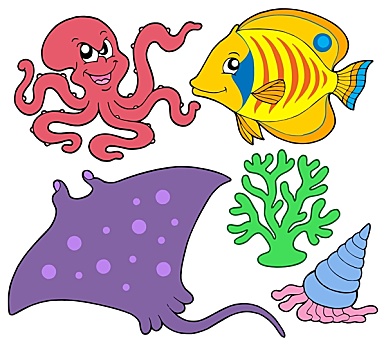 可爱,海洋动物,收集