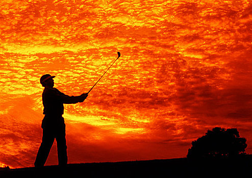高尔夫球杆,剪影,活力,日落