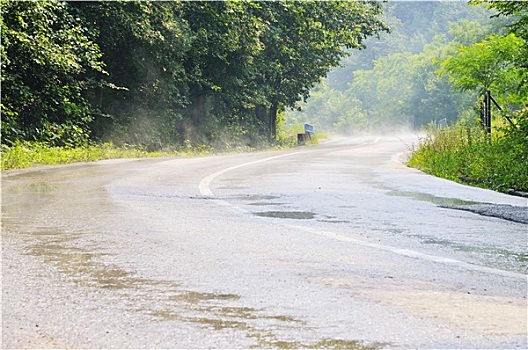 郊外,道路,绿色,树林